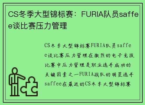 CS冬季大型锦标赛：FURIA队员saffee谈比赛压力管理