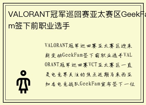VALORANT冠军巡回赛亚太赛区GeekFam签下前职业选手