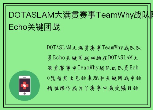 DOTASLAM大满贯赛事TeamWhy战队队员Echo关键团战