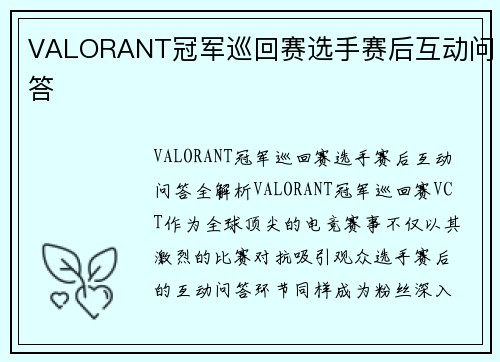 VALORANT冠军巡回赛选手赛后互动问答