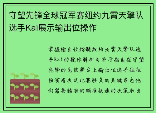 守望先锋全球冠军赛纽约九霄天擎队选手Kai展示输出位操作