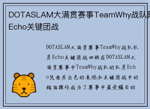 DOTASLAM大满贯赛事TeamWhy战队队员Echo关键团战