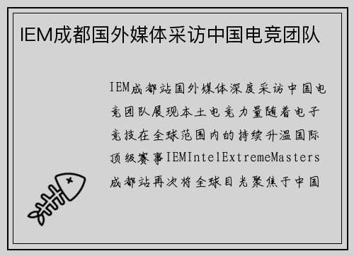 IEM成都国外媒体采访中国电竞团队